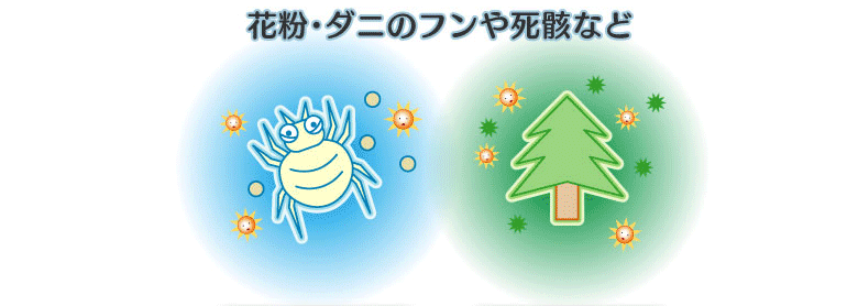 アレルゲンの働きを抑制