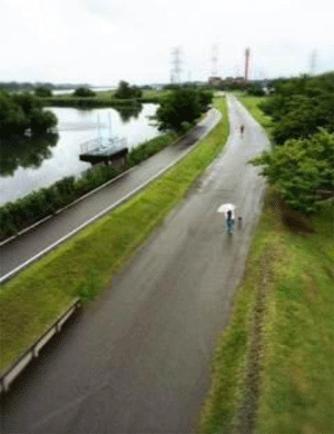 柏　手賀沼の遊歩道