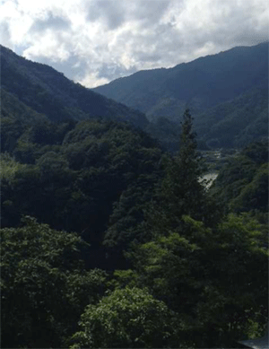 自然いっぱいの地元長野