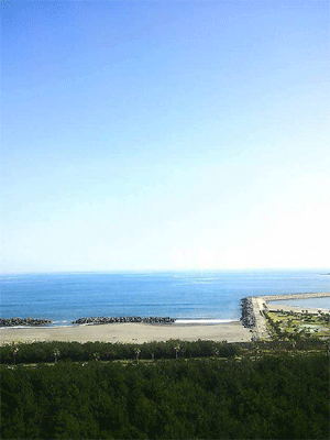 宿舎から見える青い海・青い空