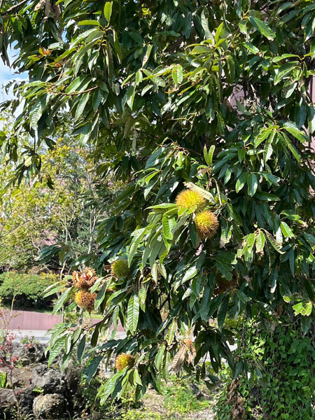 集合写真