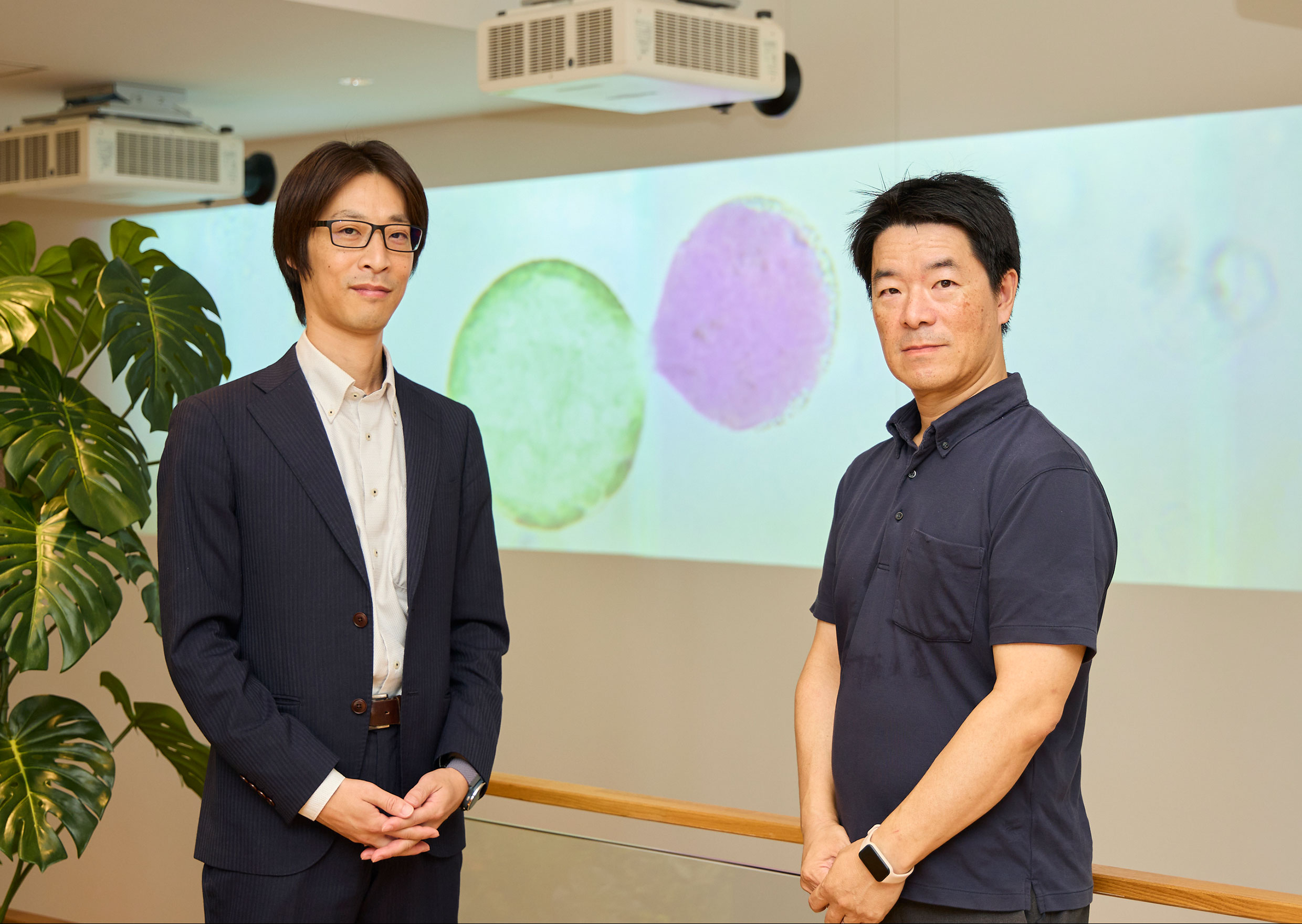 再生医療は「足もと」で変わる─細胞を支える新素材の挑戦