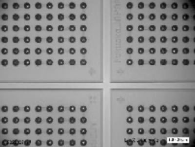 TEGウェハ・熱処理後残渣評価（200°C1時間）の写真