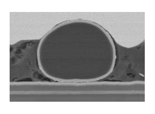 Hard resin core particle