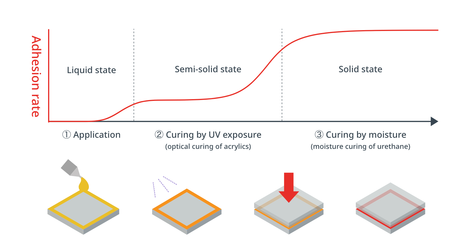 Curing Process