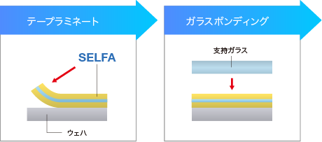 SELFA HW 使用例