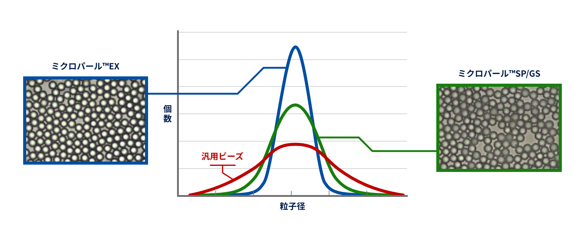 粒子径