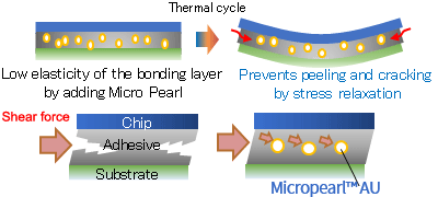 Lower elasticity and higher shear strength
