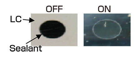 POTORI Test Viscosity