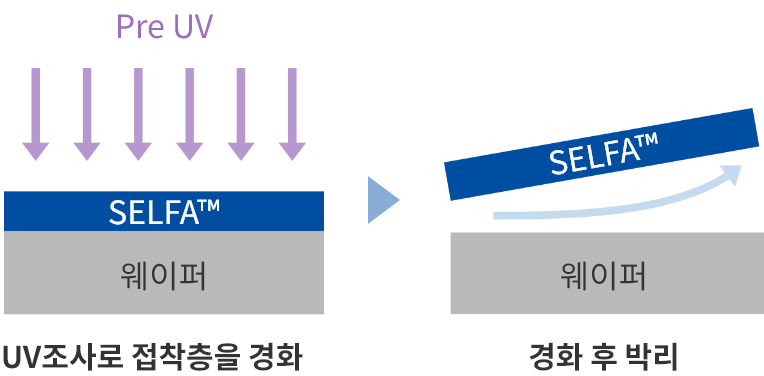 PreUV 경화