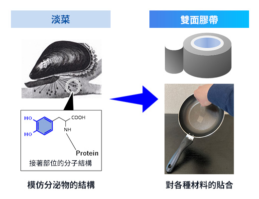 自然界の接着機構を模倣した特殊粘着剤