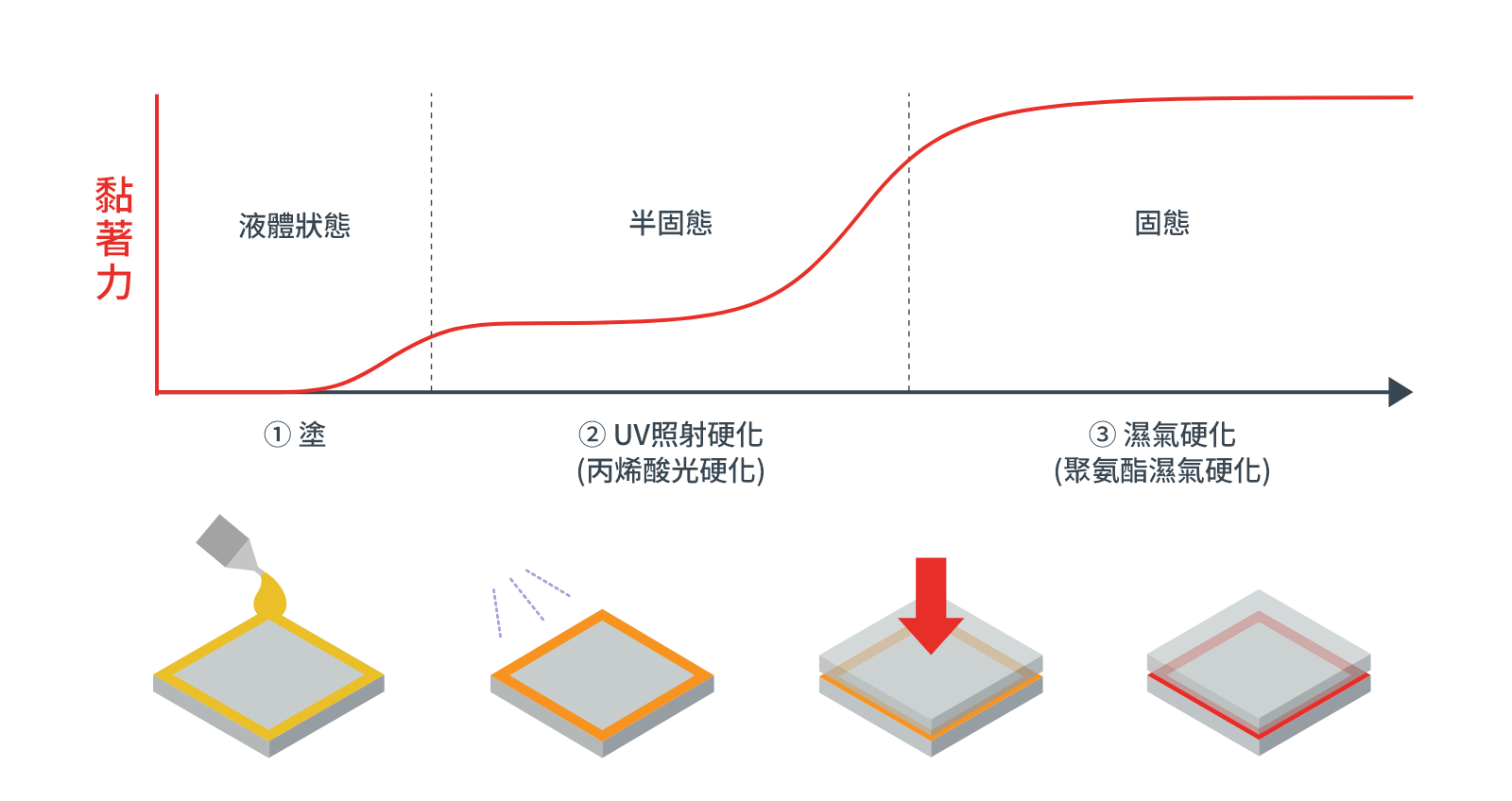 固化過程
