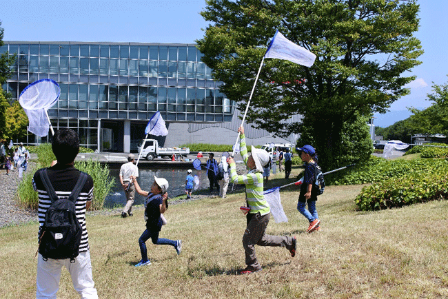 自然観察会でのトンボ採取