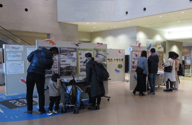 琵琶湖博物館での活動報告展示