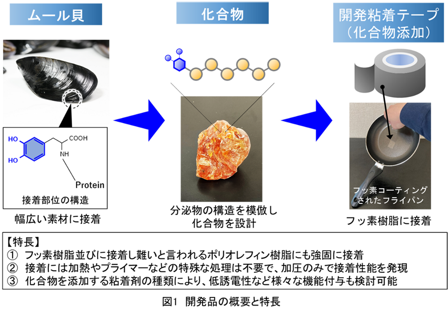 開発品の概要と特徴