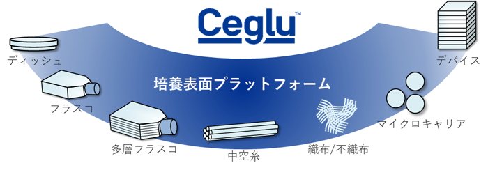 Ceglu