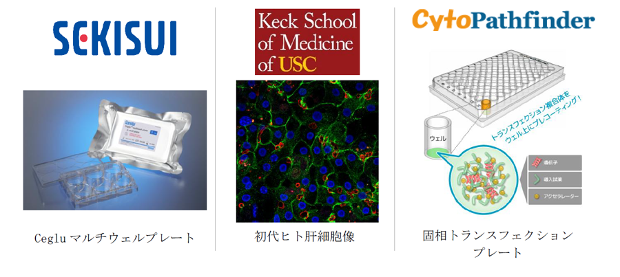 積水化学、南カリフォルニア大学およびサイトパスファインダーとの創薬支援分野における遺伝子導入技術の共同実証を開始