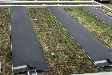 設置完了したペロブスカイト太陽電池
