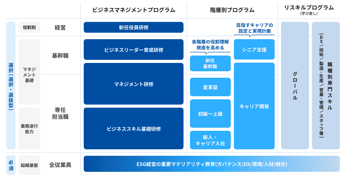 育成体系図