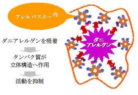 ダニアレルゲンの活動抑制機構
