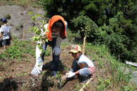 セキスイハイム九州グループの植林活動