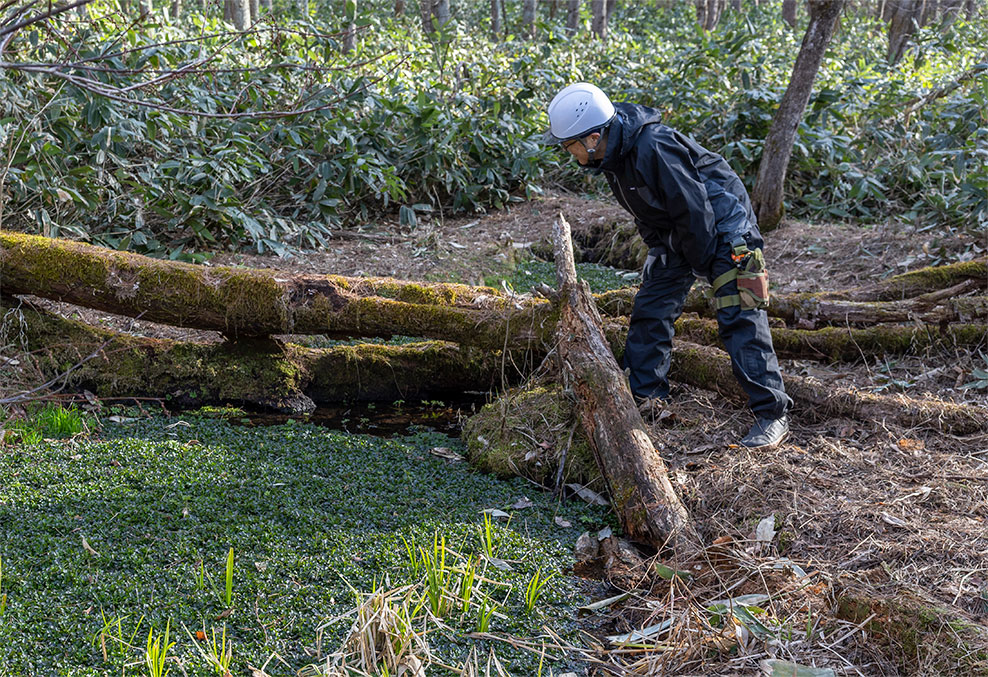 敷地内の湧水池を確認する安全環境課 松澤恵一