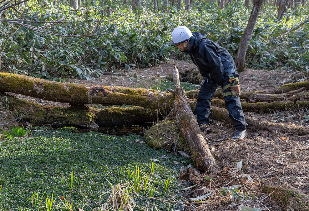 敷地内の湧水池を確認する安全環境課　松澤恵一