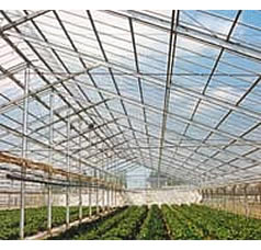 花野果 SUN-X | キーワード検索 | 積水化学工業株式会社