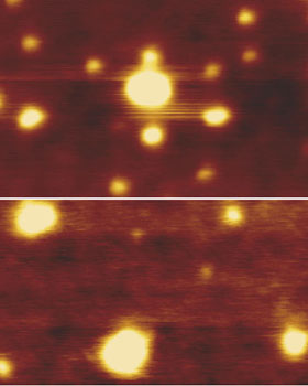 環状高分子および直鎖状高分子によるミセル