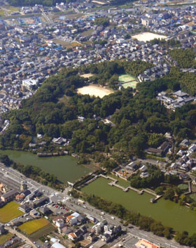 市街地の中の鎮守の森