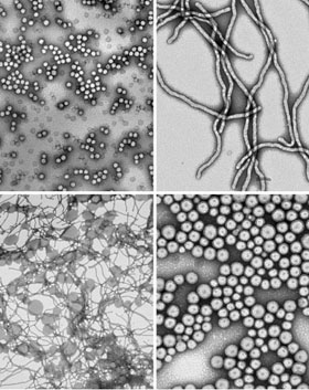 さまざまな形状の高分子ナノ組織体
